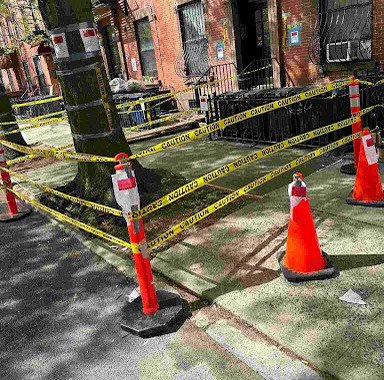 tree-root-sidewalk-damage-repair